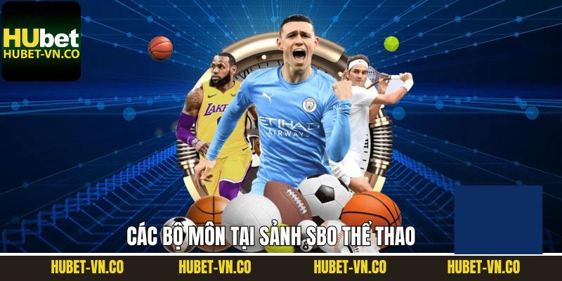 Các bộ môn trên SBO Sport đa dạng