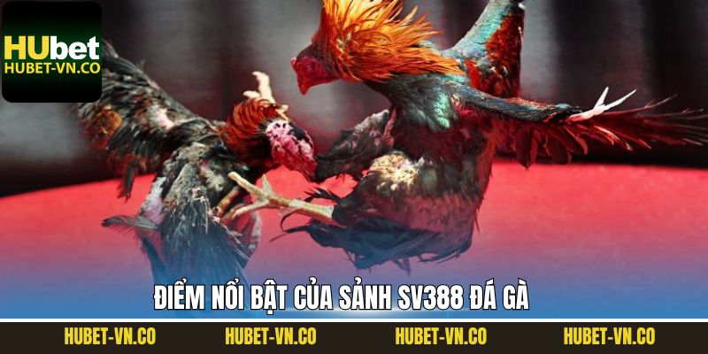 Giao diện SV388 đá gà dễ dùng, mượt mà