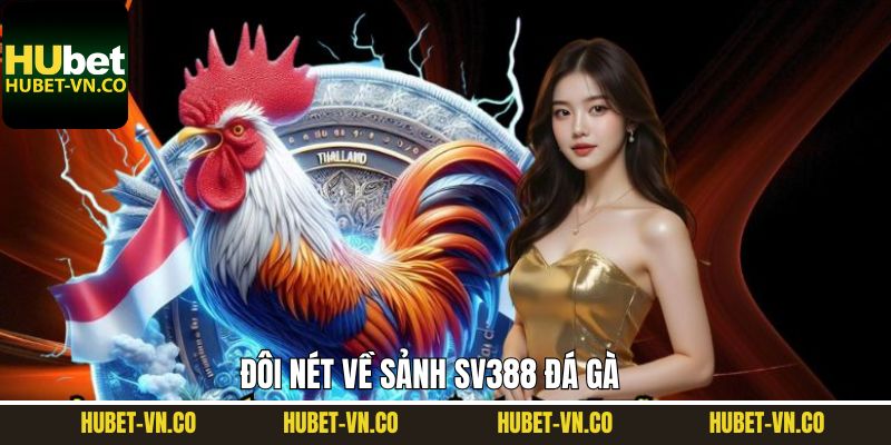 Điểm qua vài thông tin về SV388 đá gà