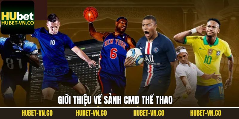 Một vài nét cơ bản về sảnh thể thao CMD