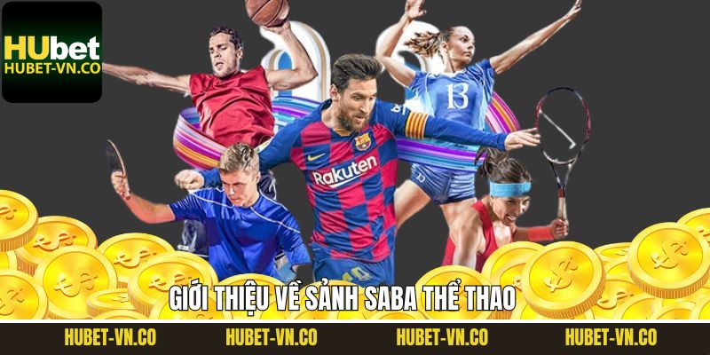 Tổng quan về sảnh saba thể thao hấp dẫn