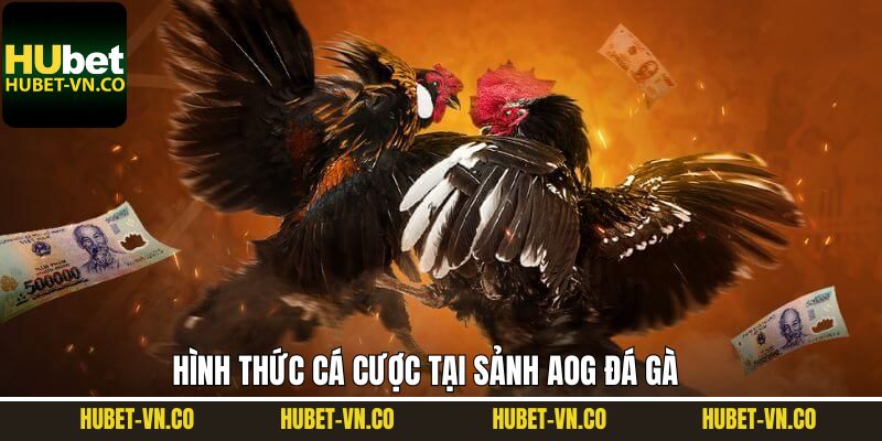 AOG Đá Gà Hubet - Sân Chơi Quy Tụ Những Chiến Kê Huyền Thoại 3 Danh sách những hình thức đang được ưa chuộng tại AOG đá gà