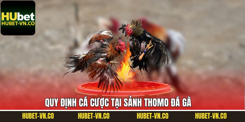 Khám phá quy định trong sảnh Thomo đá gà dành cho hội viên
