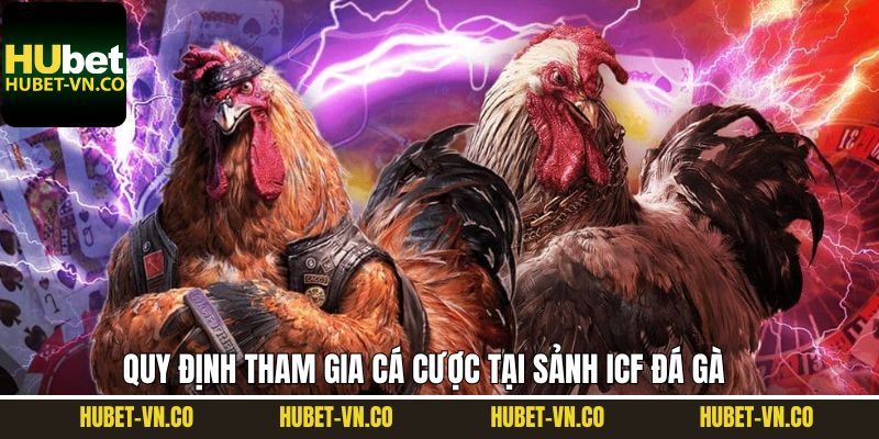 ICF Đá Gà - Trải Nghiệm Sảnh Cược Chọi Gà Hấp Dẫn Tại Hubet 3 Những luật chơi khi tham gia vào sảnh ICF cá cược đá gà