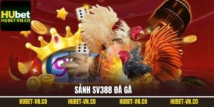 SV388 Đá Gà – Sân Chơi Cá Cược Hấp Dẫn Hàng Đầu 2025