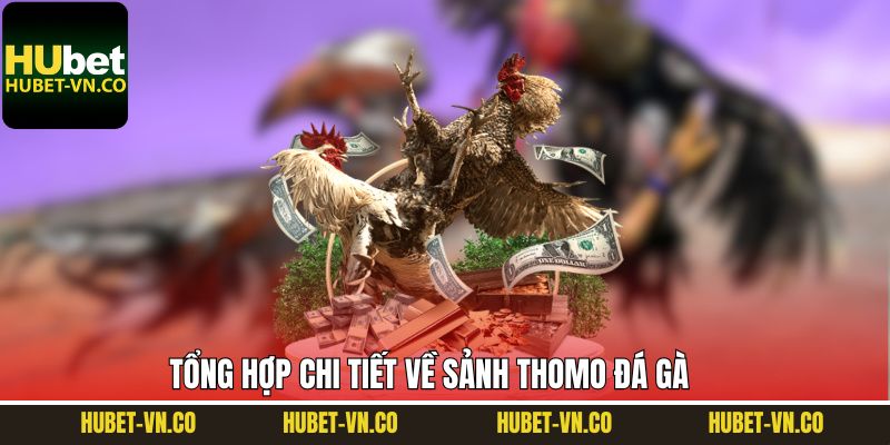 Điều hấp dẫn về sảnh cược Thomo đá gà